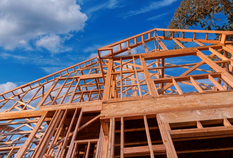 Roof Framing Repair